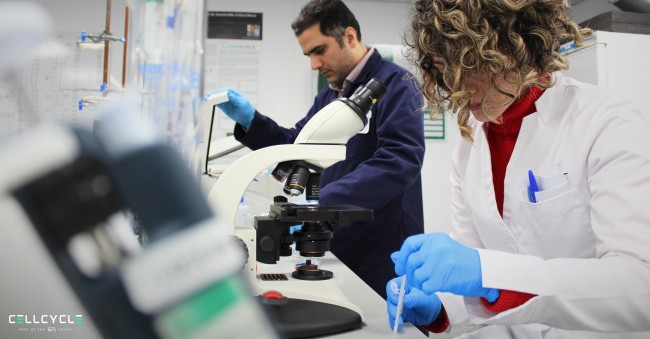 云财经股票内参快讯724滚动更新_今日股票市场最新消息(图1)